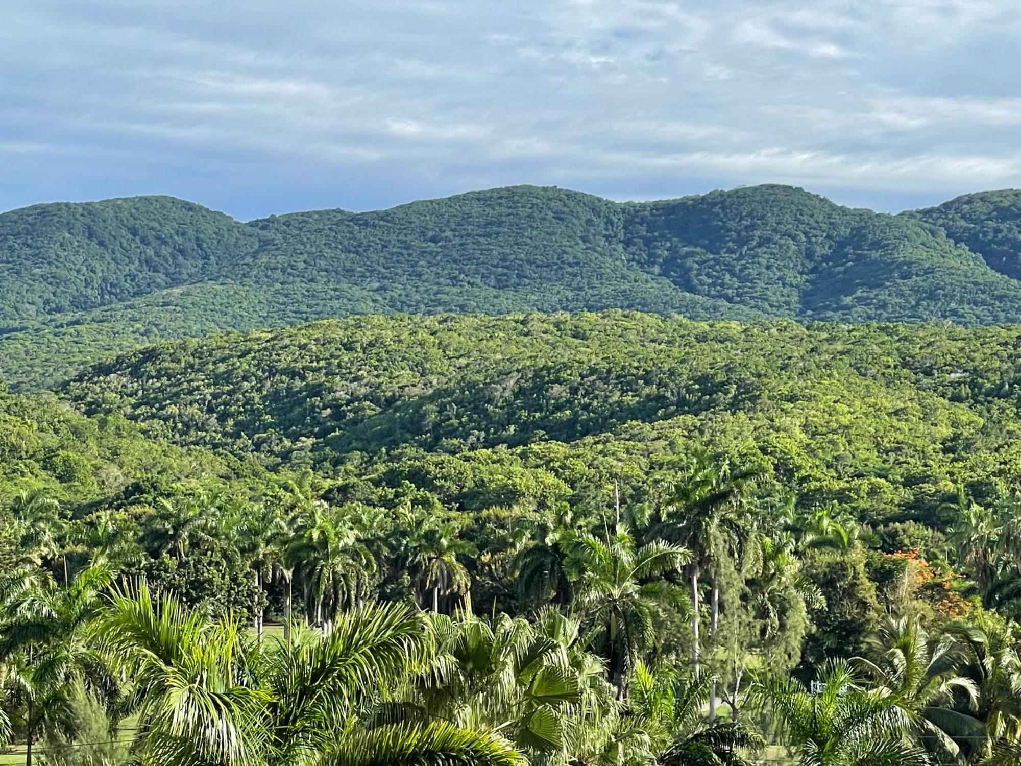 Marriott Seacastles E22, Montego Bay Aparthotel Kültér fotó